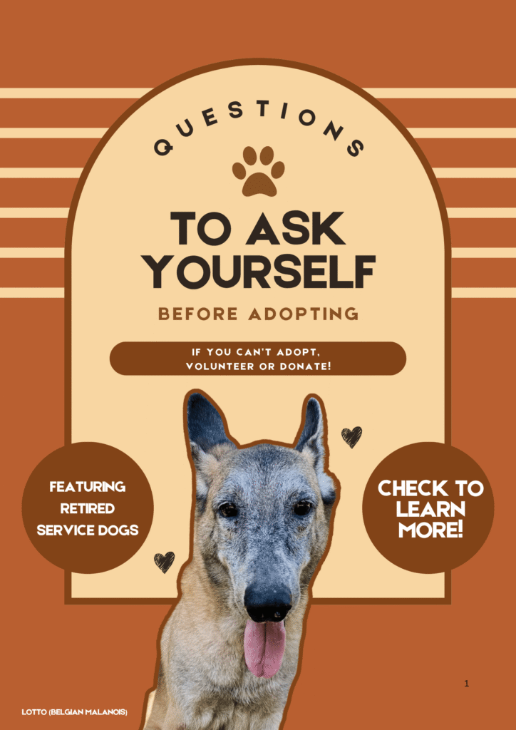 adoption guide checklist draft (2)